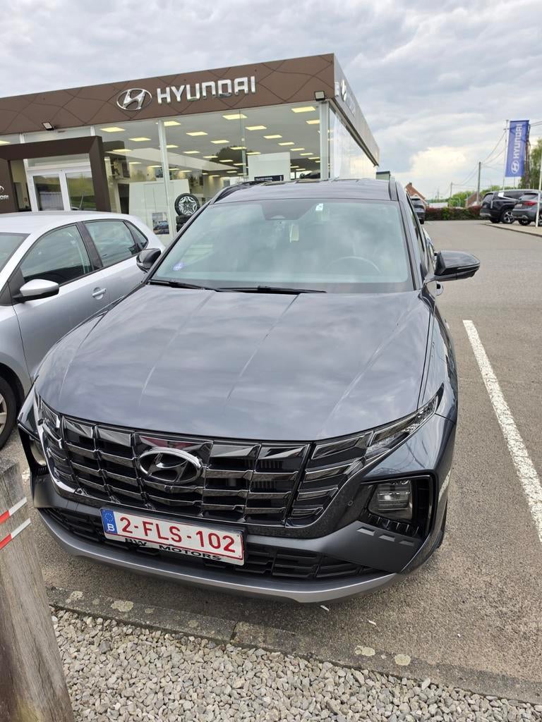 Tucson Shine N Line 2024 Hybrid - 33 000 km - Full Options, Autos, Achat, Carnet d'entretien, Alcantara, Automatique
