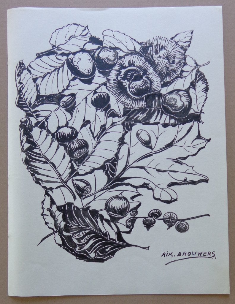 RIK BROUWERS / HERFSTEVOCATIE / ORIGINEEL WERK / 40x30cm SIG, Antiek en Kunst, Kunst | Schilderijen | Modern, Ophalen of Verzenden