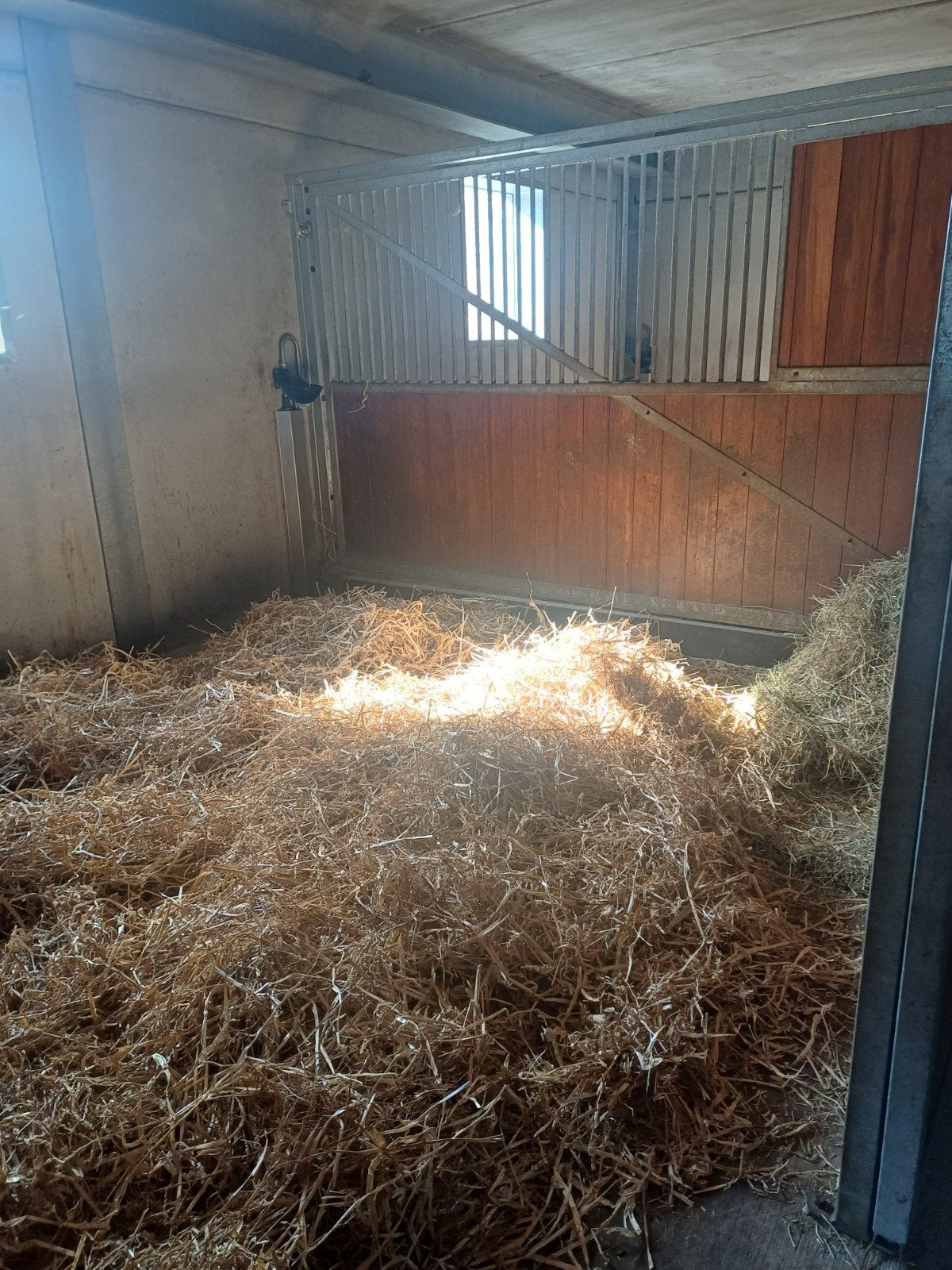 Plaatsje vrij te Viane (Geraardsbergen), Dieren en Toebehoren, Stalling en Weidegang, Stalling, 4 paarden of pony's of meer