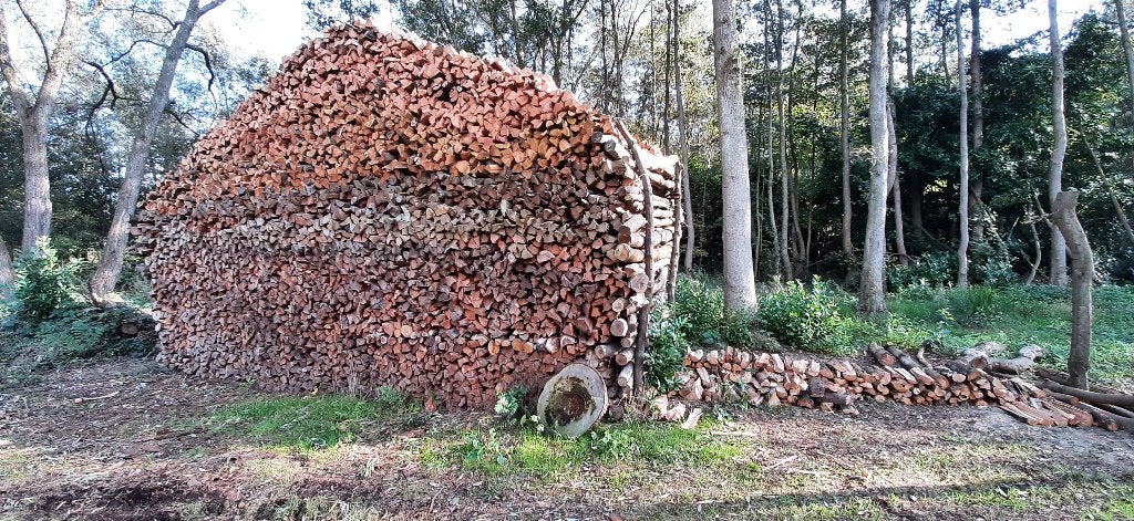Brandhout, Moins de 3 m³, Enlèvement, Autres essences de bois, Bûches