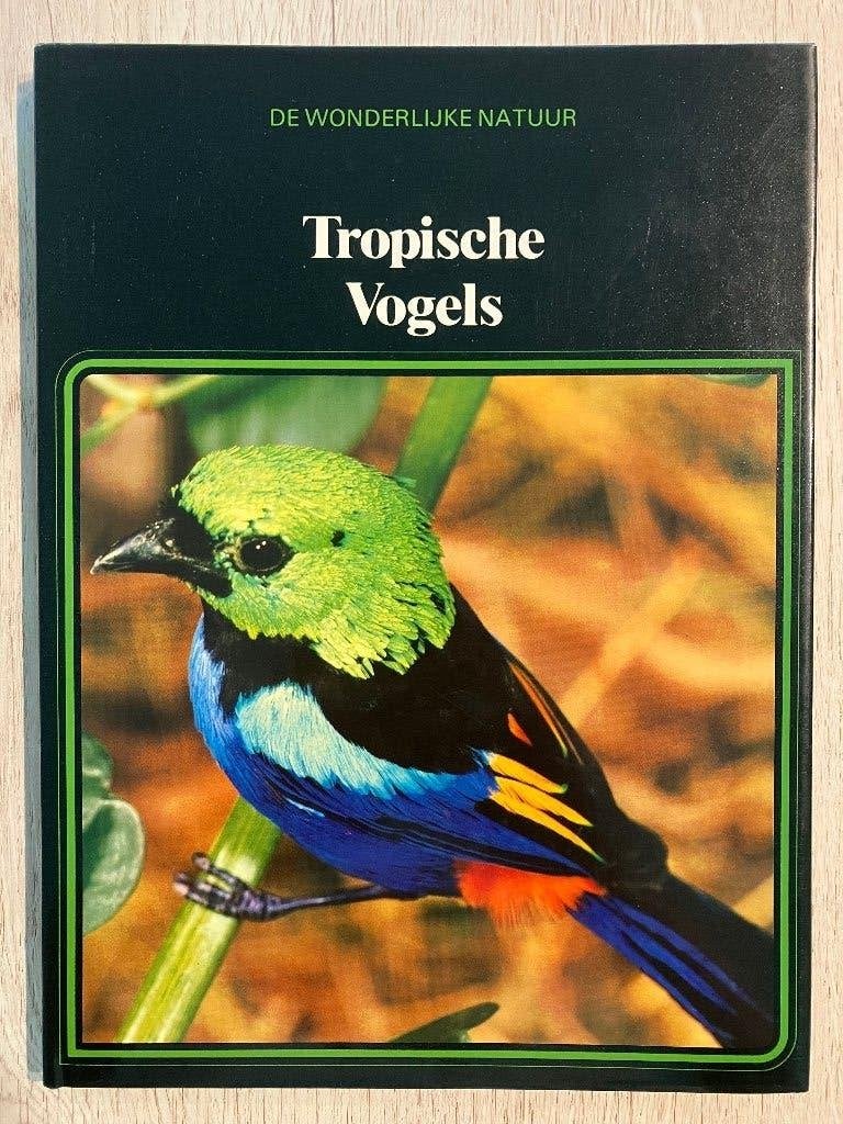 Livre : Tropical Birds, Livres, Enlèvement ou Envoi, Comme neuf, Oiseaux, Jan Van Den Brink