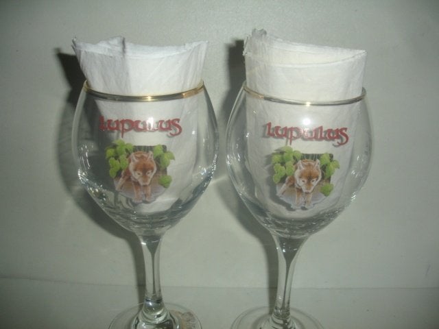 2 bierglazen van Lupulus, 25cl, brij. Lupulus, Gouvy, Collections, Enlèvement ou Envoi, Comme neuf, Verre ou Verres, Autres marques