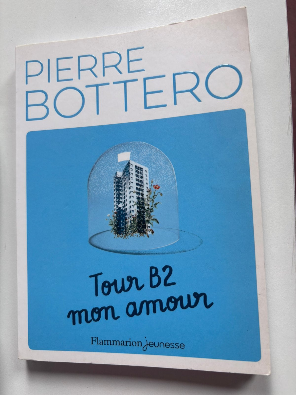 Tour B2 mon amour - Pierre Bottero, Livres, Enlèvement ou Envoi, Comme neuf, Enseignement secondaire inférieur, Français