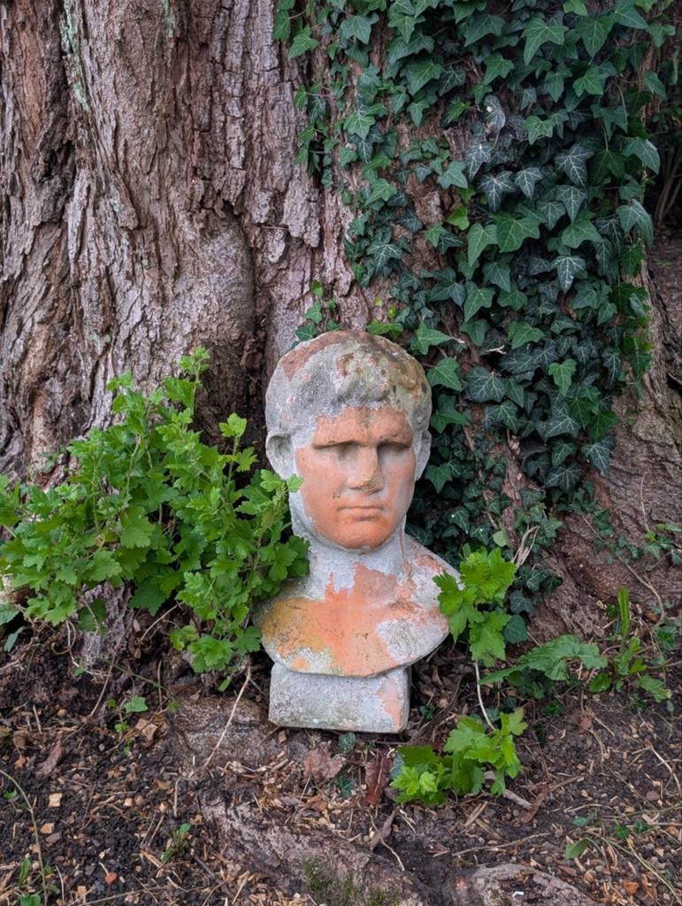 Buste-beeld-man-terracotta-tuinornoment, Enlèvement