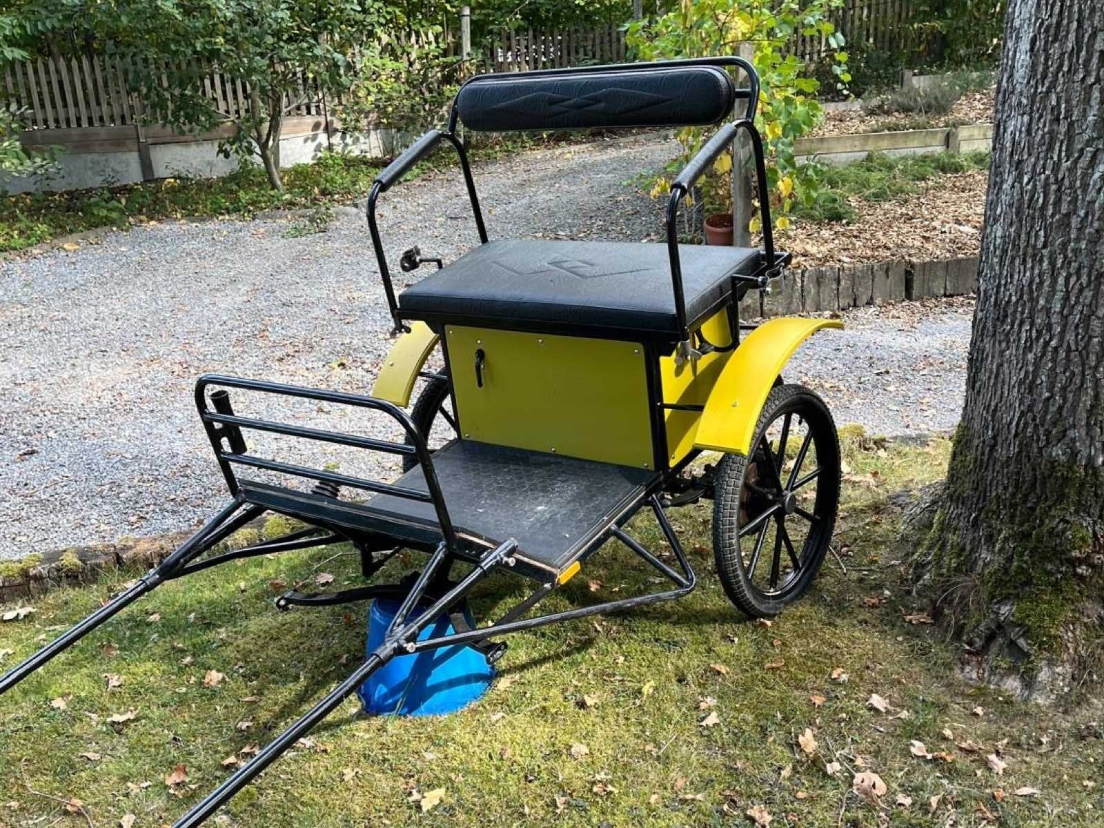 Chevaux transport, Animaux & Accessoires, Utilisé, Autres types