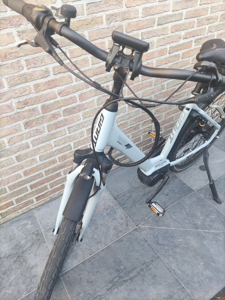 Ebike Giant, Fietsen en Brommers, Ophalen, Gebruikt, Giant, 51 tot 55 cm