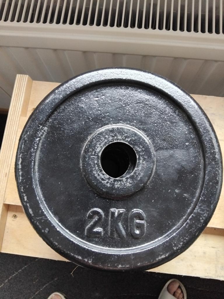 2 halterschijven van 2kg, Sport en Fitness, Ophalen, Halterschijven