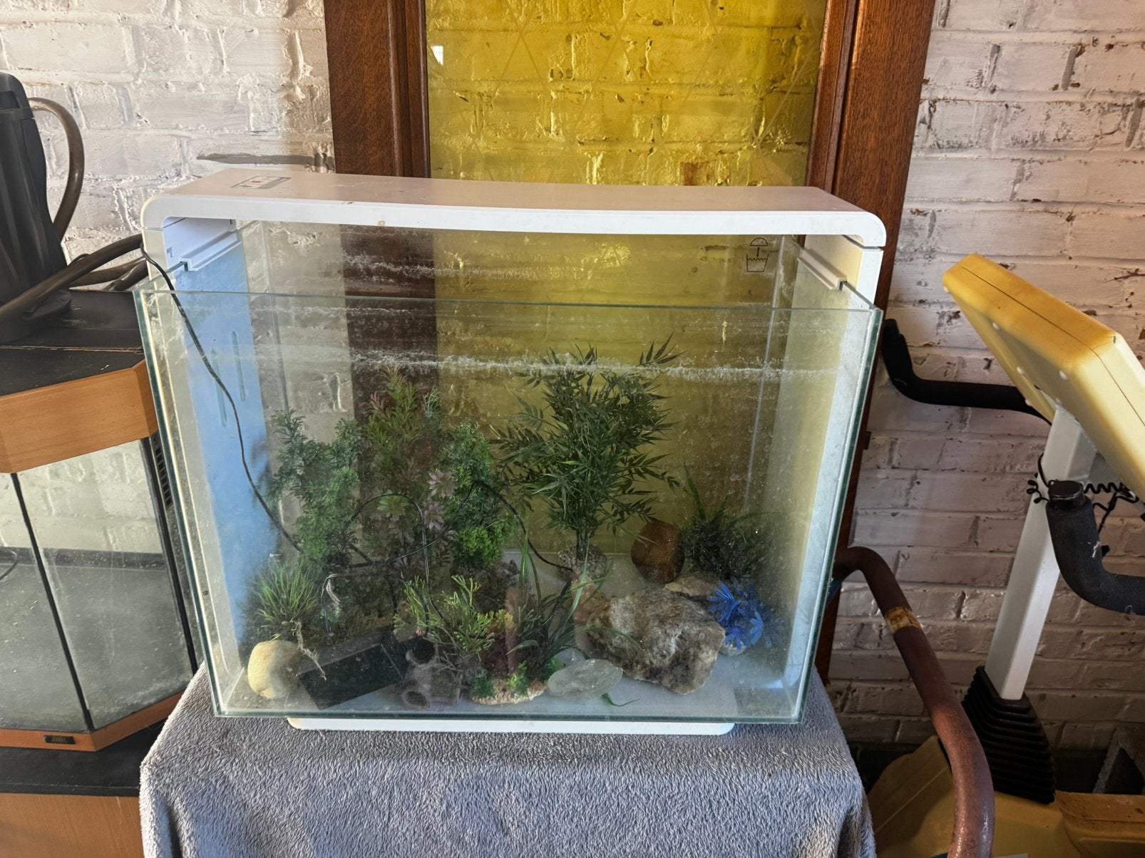 2 aquariums te koop beide 100 euro met alles bij, Enlèvement, Comme neuf