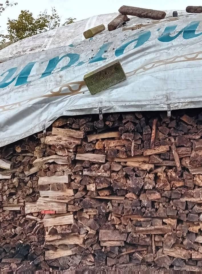 brandhout van berk en knotwilgen, Diversen, Ophalen, Nieuw