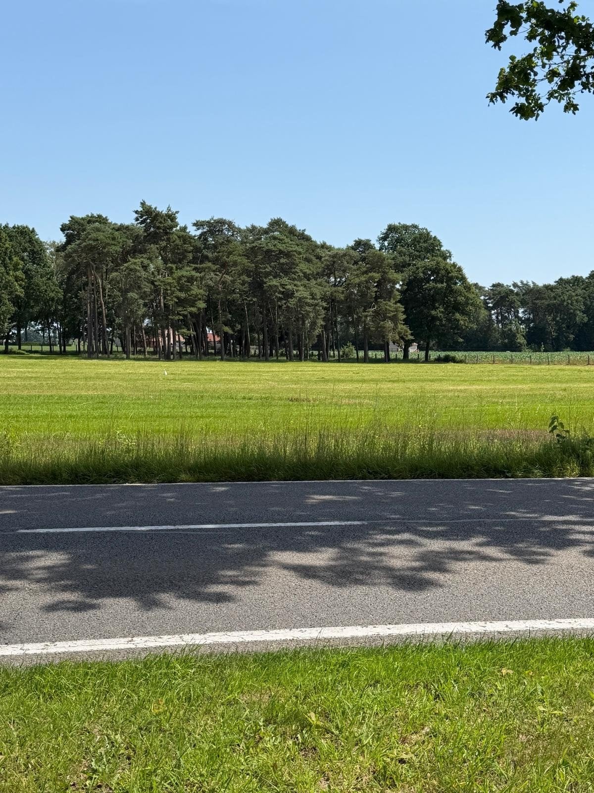 Bouwgrond open bebouwing (791 m^2) in landelijk Bree, 3960 Bree, Verkoop zonder makelaar, 500 tot 1000 m²