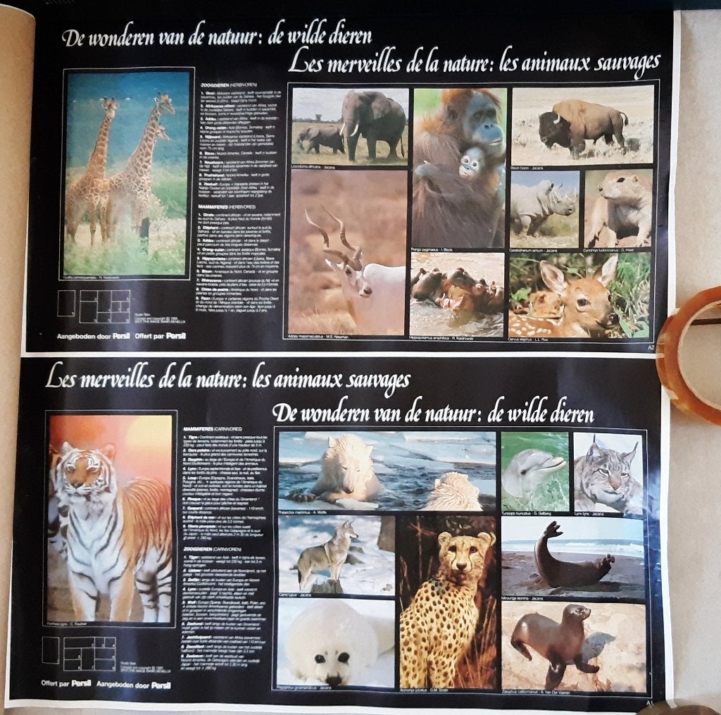 2 affiches carnivores herbivores animaux sauvages/mammifères, Collections, Posters & Affiches, Enlèvement ou Envoi, Rectangulaire horizontal