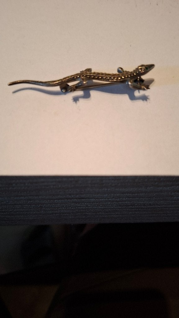 Broche, Enlèvement ou Envoi, Utilisé, Argent, Argent
