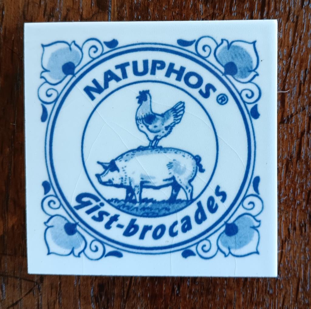 Aardig keramisch tegeltje Gistbrocades collector's item, Ophalen
