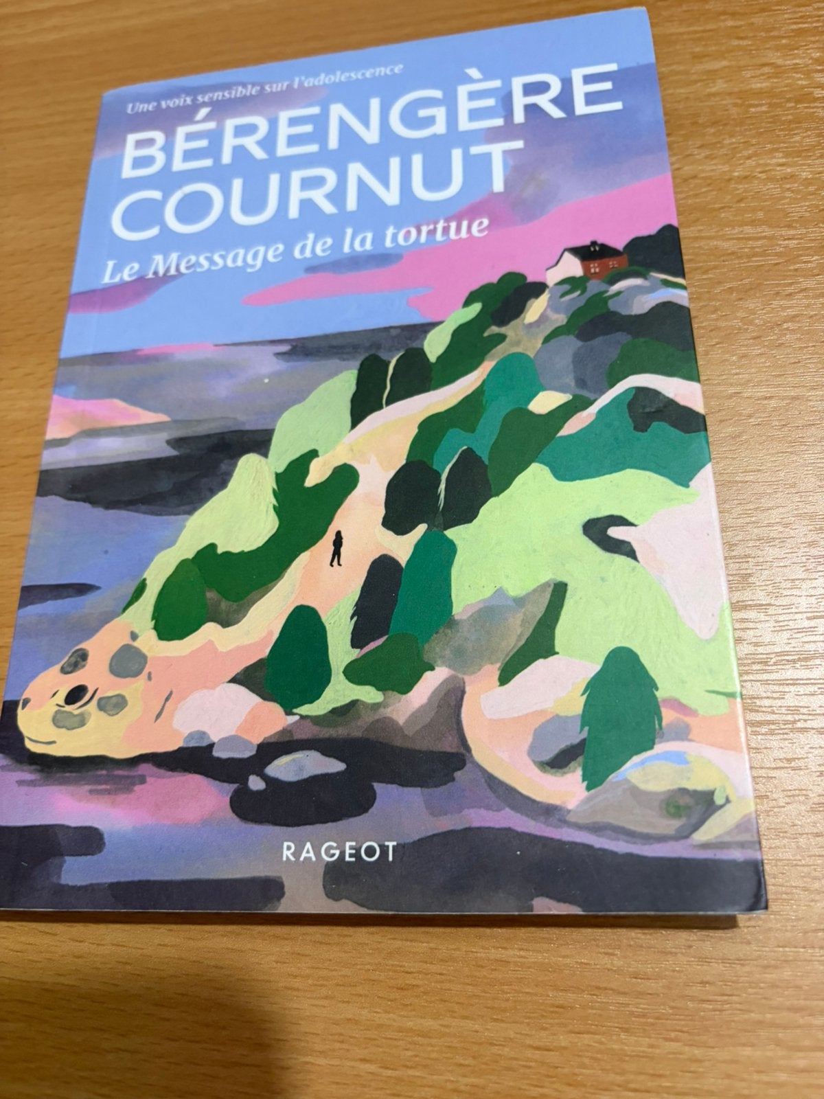 Le Message de la tortue (Bérengère Cournut), Enlèvement ou Envoi, Comme neuf, Fiction