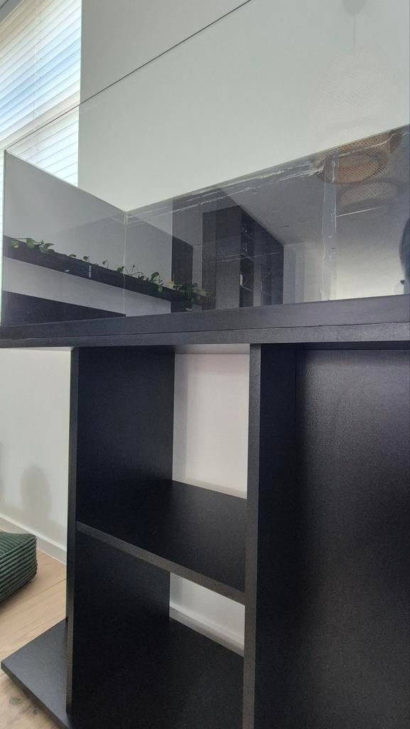 Hamsterkooi + kast, Ophalen, Kooi, Hamster