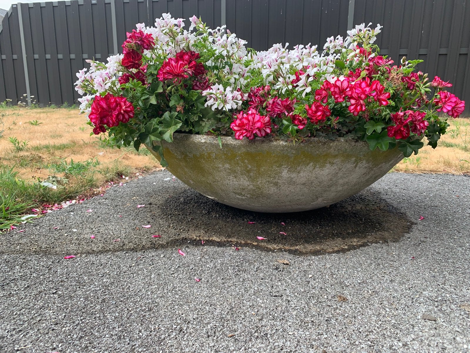 Stenen bloembak met geraniums, Ophalen, Steen, Gebruikt, Rond