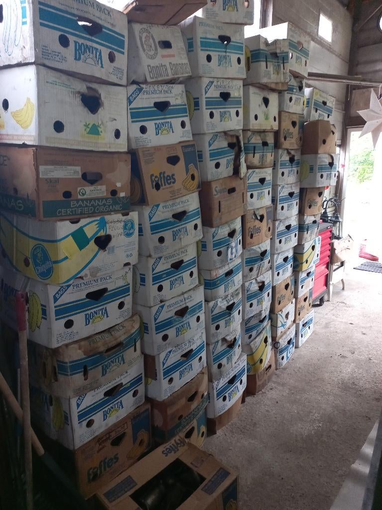 58 bananen dozen vol onderdelen lees lees, Motos, Accessoires | Autre, Enlèvement, Comme neuf