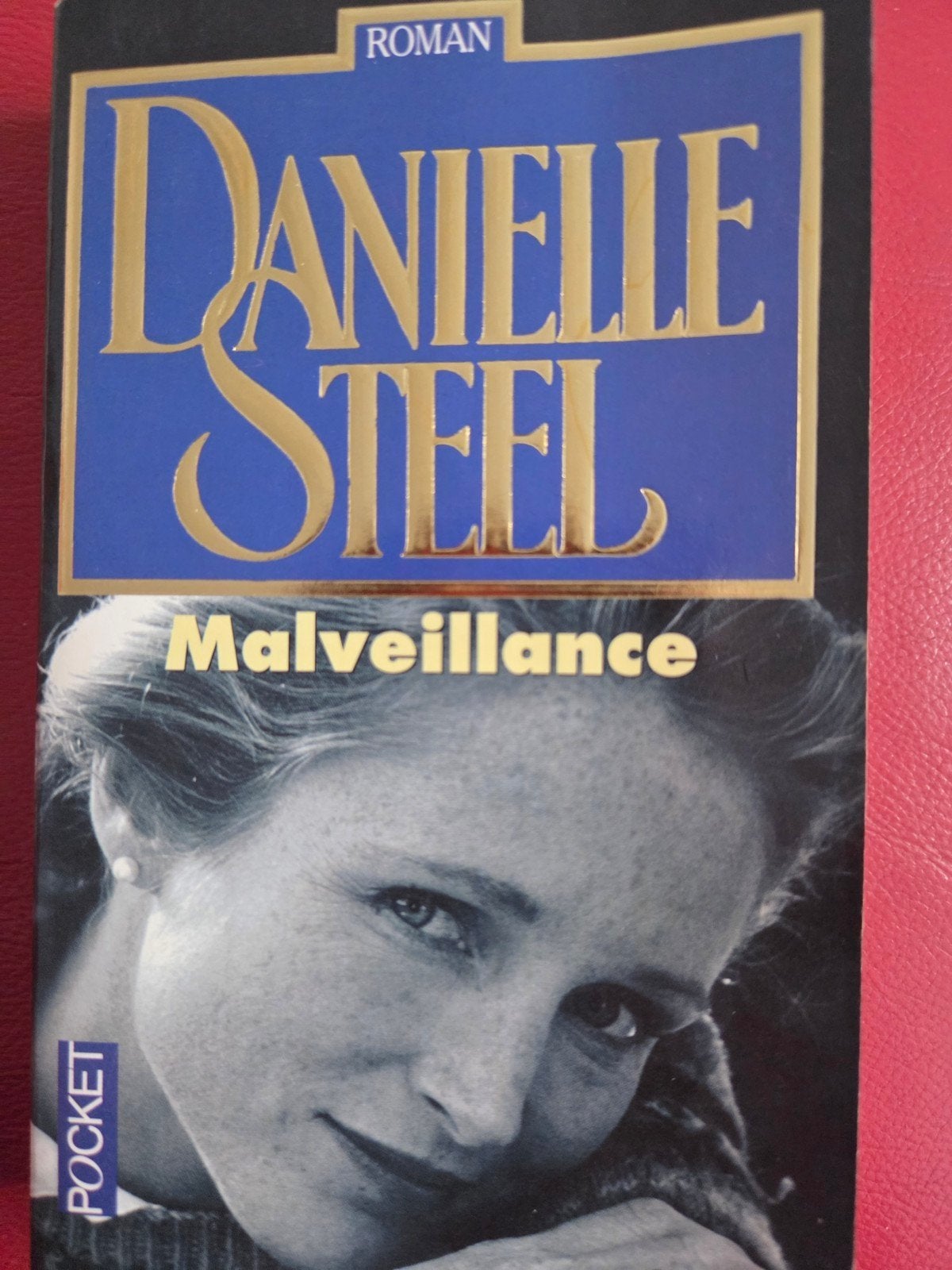 Danielle Steel, Livres, Romans, Enlèvement