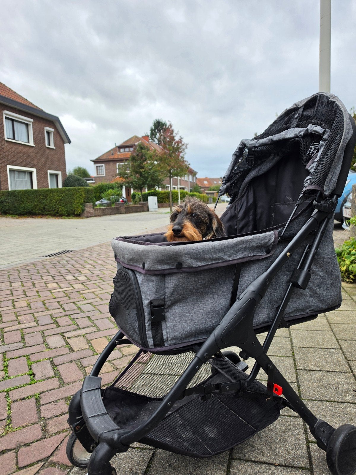 hondenbuggy goede staat, Animaux & Accessoires, Enlèvement, Utilisé, Poussette pour chien