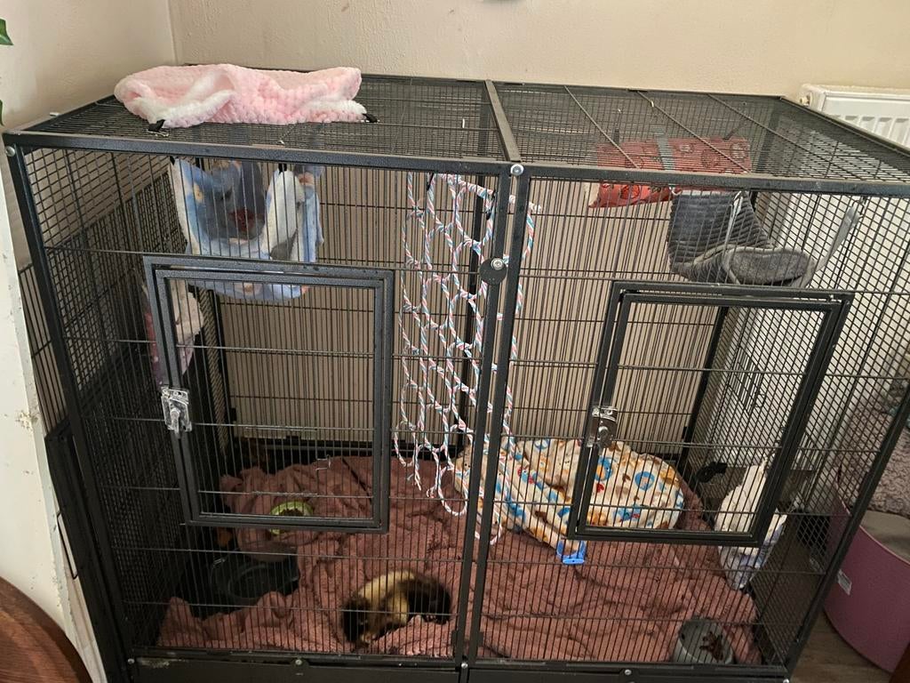 Fret en kooi, Comme neuf, Enlèvement, Furet, Cage