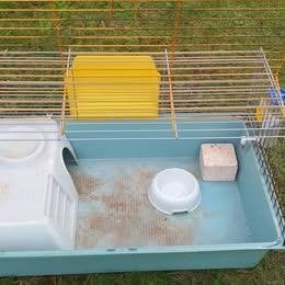 Cavia/konijnen hok met toebehoren, Dieren en Toebehoren, Ophalen, Gebruikt, Hok, Cavia