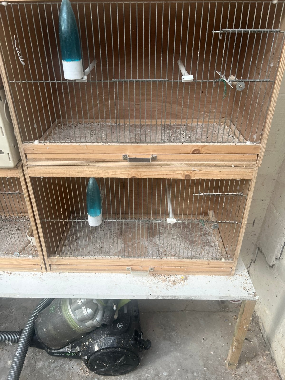 kweekkooien met broedblokken, Dieren en Toebehoren, Meerdere dieren, Parkiet
