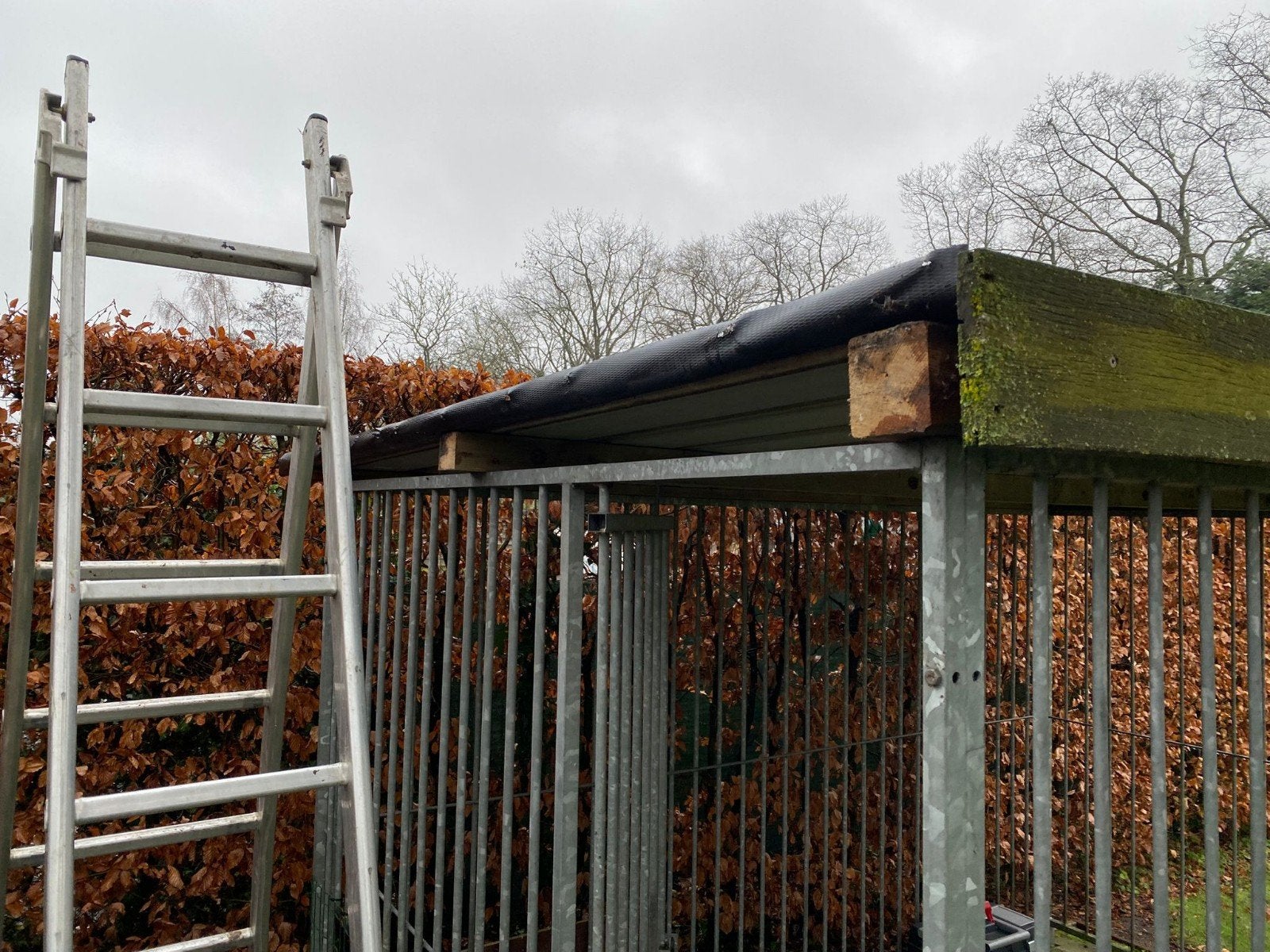 Hondenren met dak 3m op 2m gegalvaniseerd, Dieren en Toebehoren, Ophalen