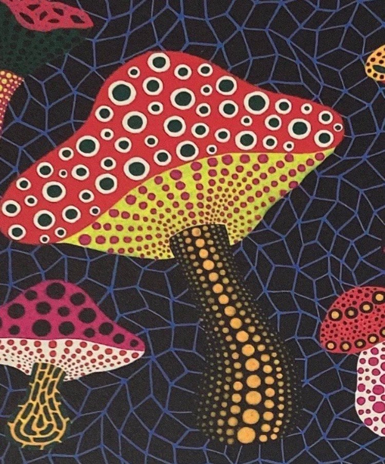 Yayoi Kusama : lithographie 40 par 50. Vendue encadrée, Enlèvement ou Envoi, Lithographie