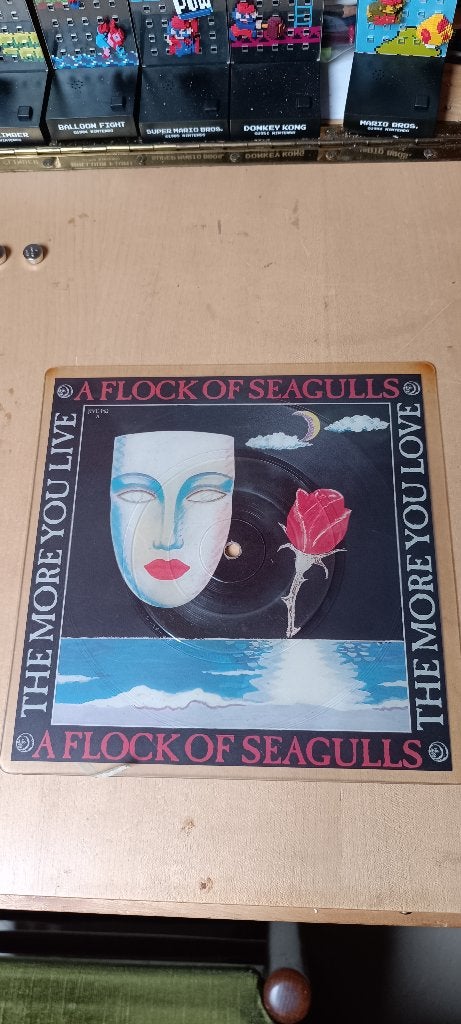 A flock of seagulls picture disc vintage, Picture disc, Enlèvement, 1980 - 1989, Utilisé