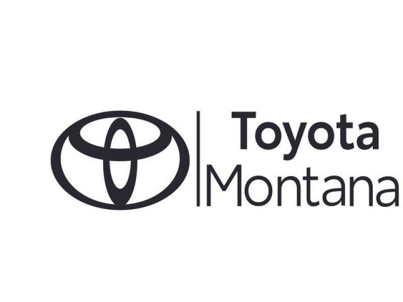 Toyota rav4 Dynamic, Auto's, Automaat, 161 kW, 5 deurs, Hybride Elektrisch/Benzine