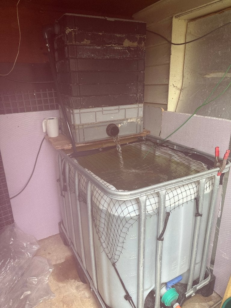 Quarantaine bak 600 liter voor vissen en koi's