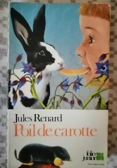 Poil de Carotte de Jules Renard, Ophalen of Verzenden