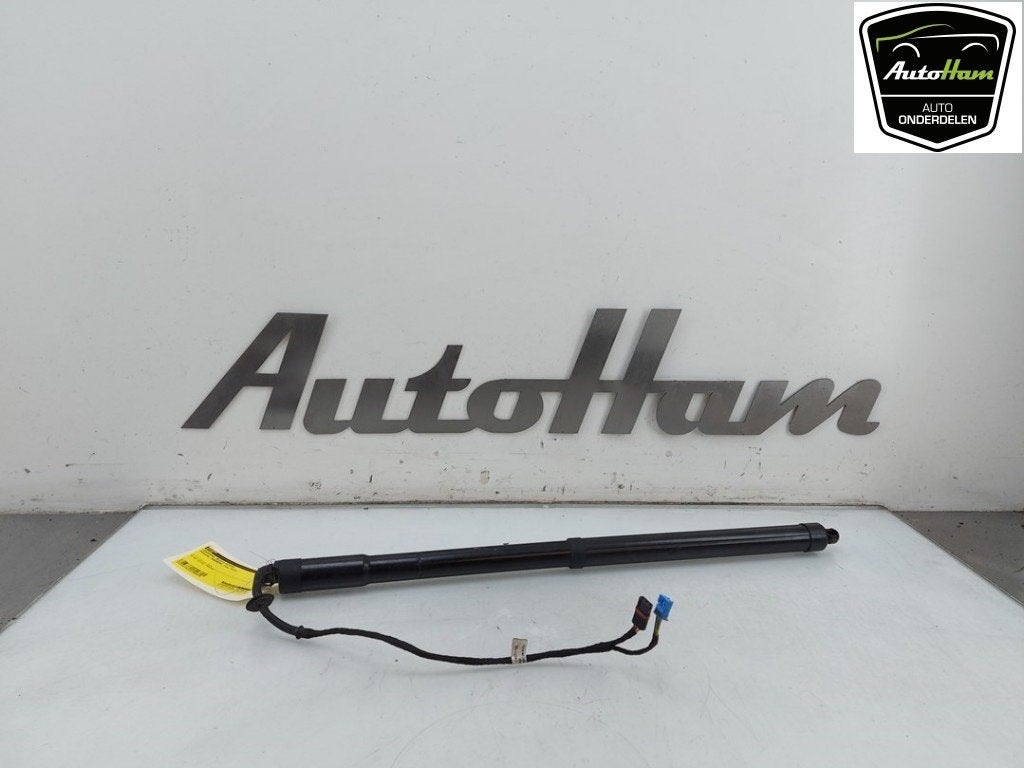GASDRUKVEER LINKS ACHTER Porsche Panamera (970), Gebruikt, Porsche Deutschland GmbH, Porscheplatz 1
70435  Stuttgart, DE, Porsche