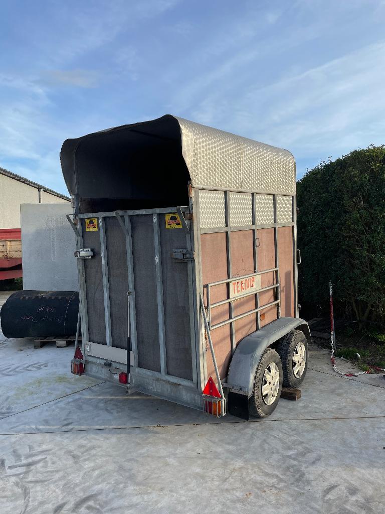 Paardentrailer, Dieren en Toebehoren, Paarden en Pony's | Trailers en Aanhangwagens, Gebruikt, 1½-paards trailer, Hout, Ophalen