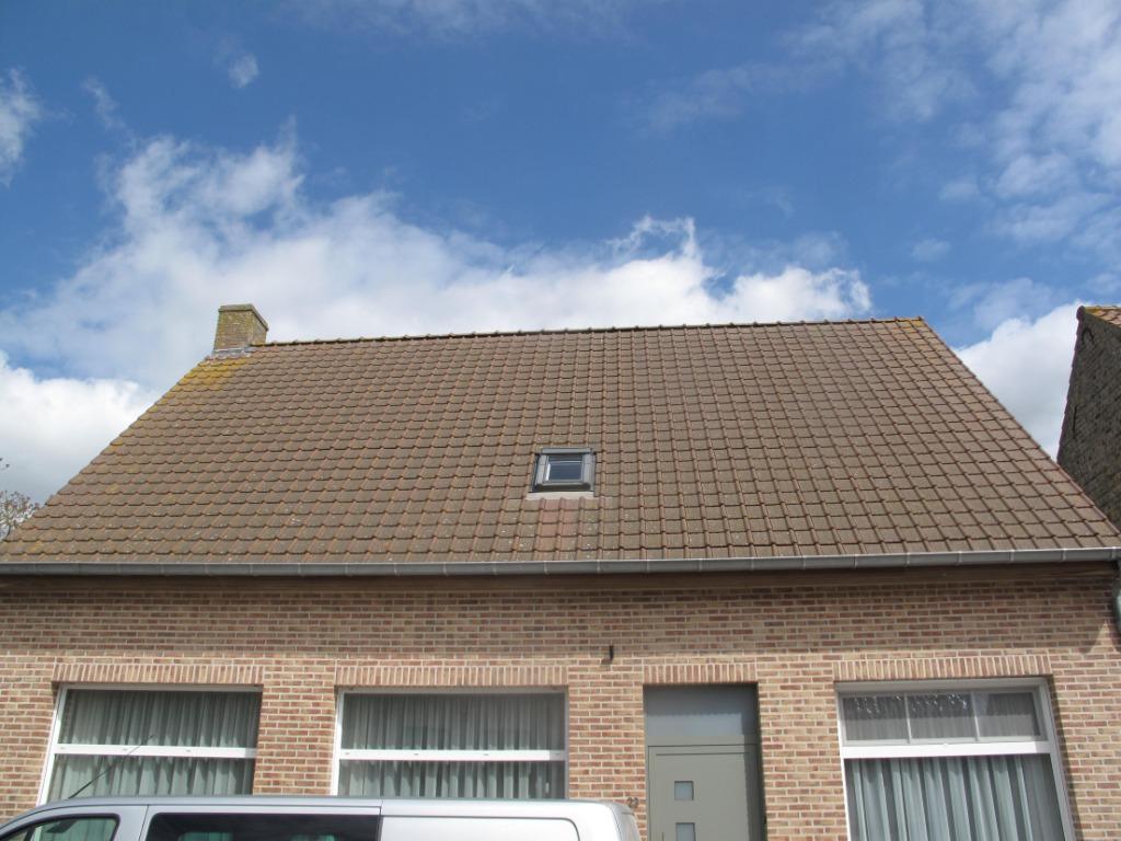 POTTELBERG RUSTIEK DAKPANNEN, Doe-het-zelf en Bouw, Ophalen, Gebruikt, Dakpannen