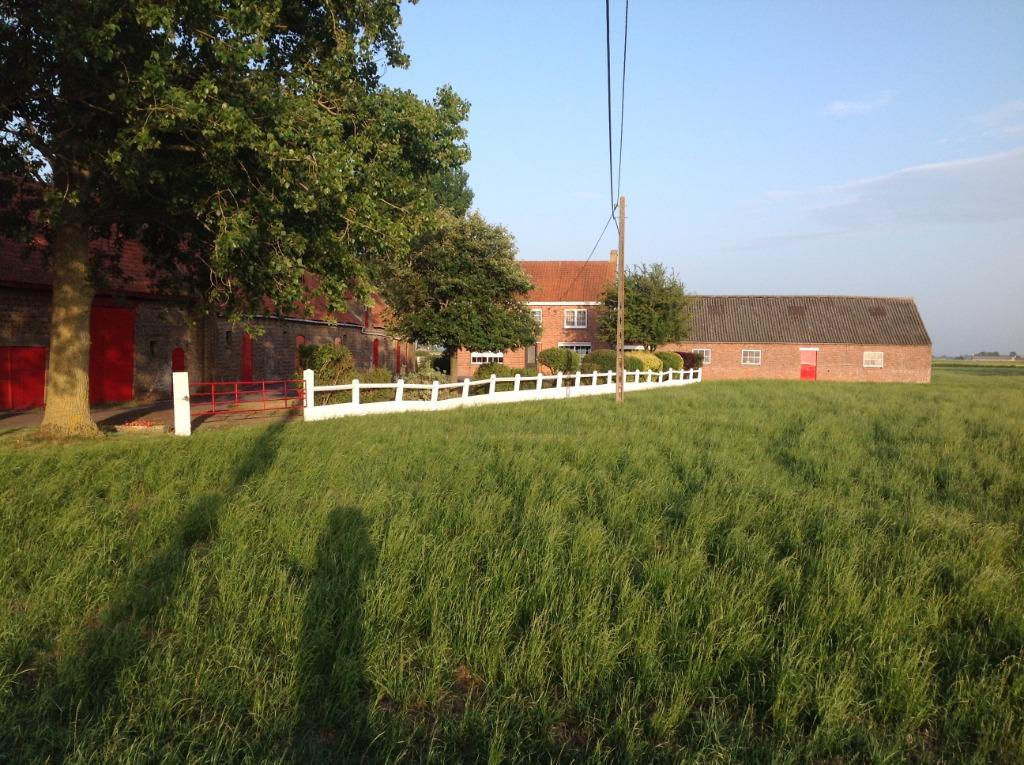 ferme à rénover, Province de Flandre-Occidentale, Middelkerke Slijpe, 4 pièces, Ventes sans courtier