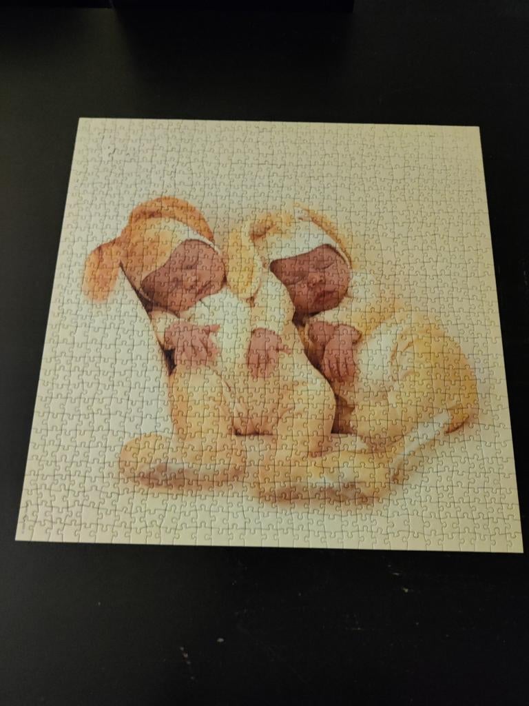 Anne geddes puzzel, Enlèvement ou Envoi