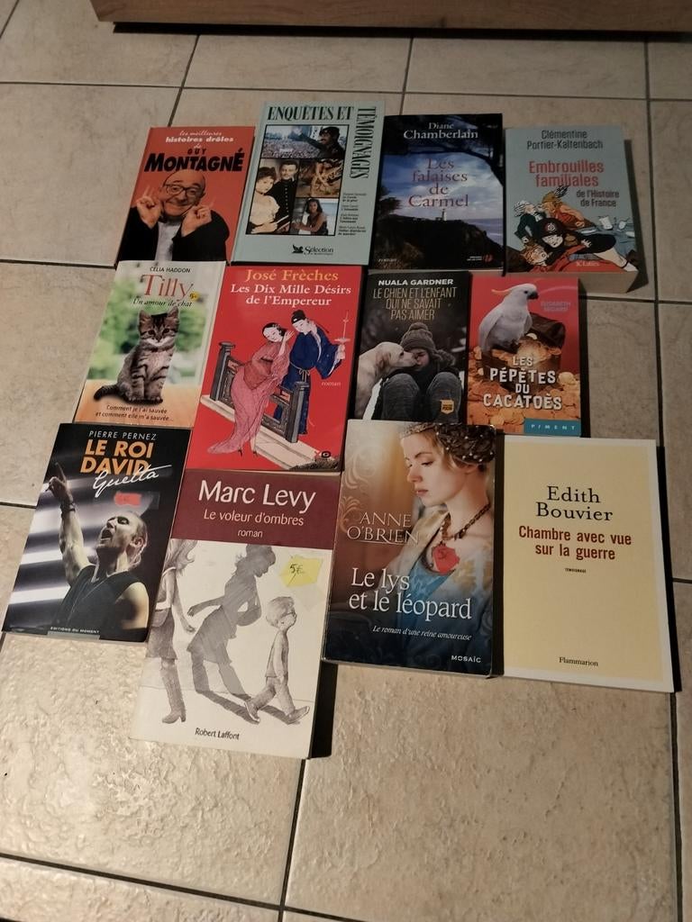 Livre 5€ pièce, Boeken, Overige Boeken, Gelezen, Ophalen of Verzenden