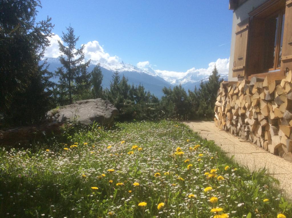 Vrijstaand Chalet in Zwitserland te huur, 6p. 3 slk. 2badk., Vakantie, Vakantiehuizen | Zwitserland, Open haard, Landelijk, In bos