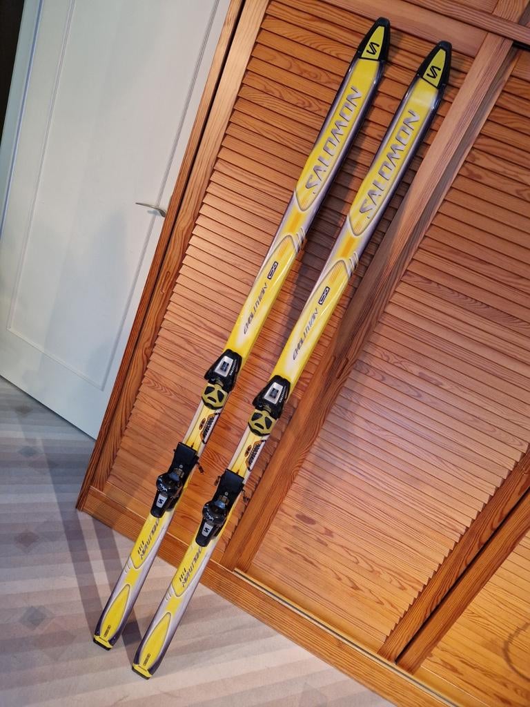 Salomon pour le ski sur neige, longueur 175 cm, 160 à 180 cm, Skis, Salomon, Enlèvement