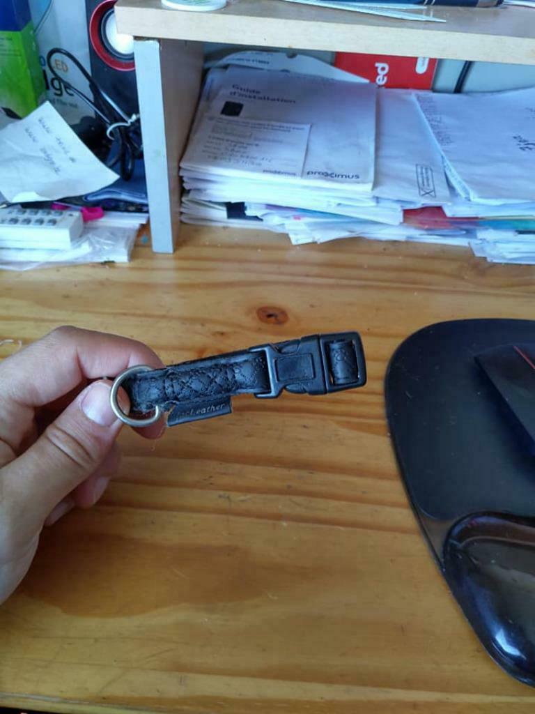 Collier chien marque macleather taille medium noir, Enlèvement, Comme neuf