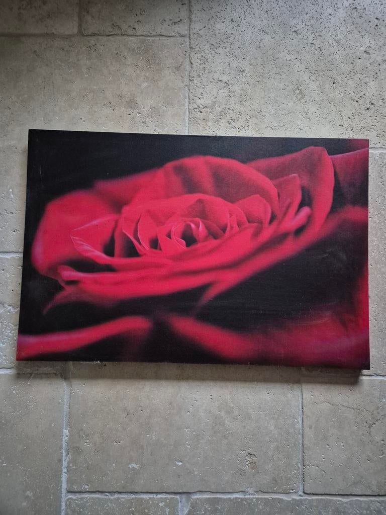 Canvas Roos, Enlèvement