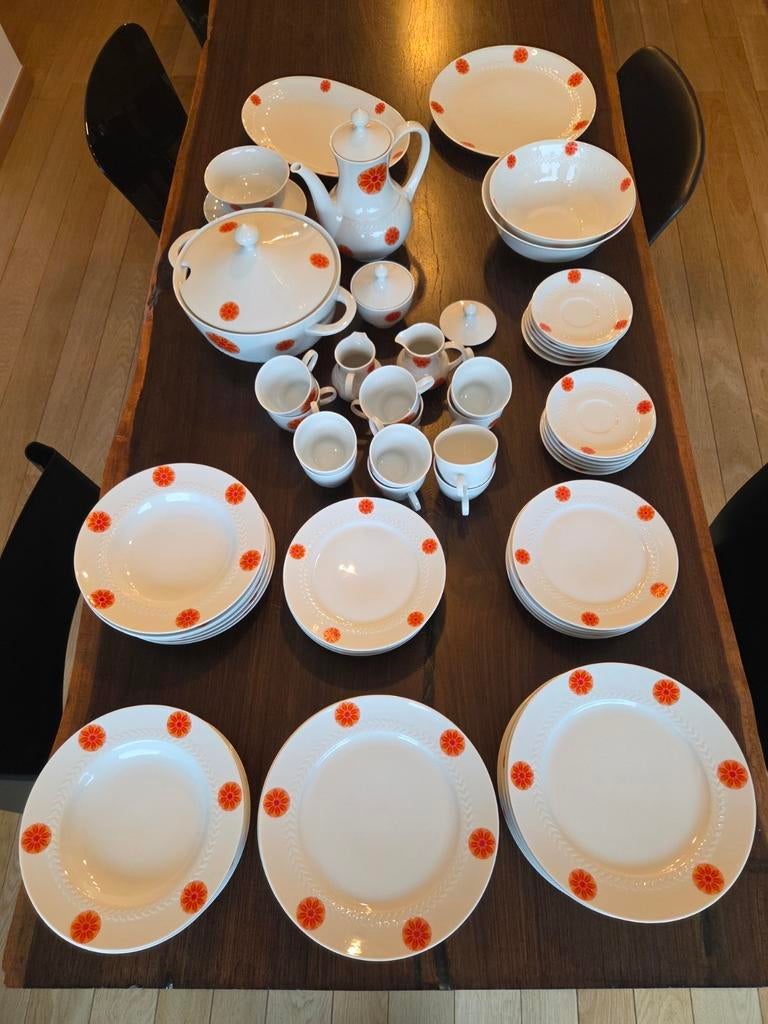 vintage servies Tirschenreuth Bavaria 71 delig, Ophalen