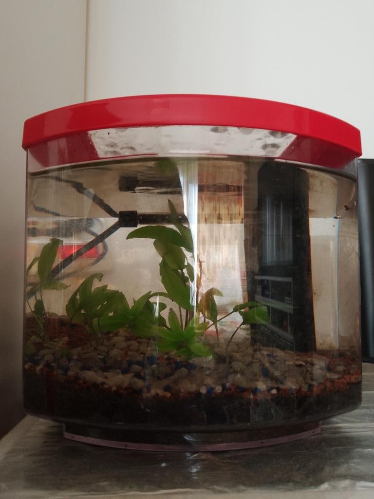 Aquarium met filterpomp., Dieren en Toebehoren, Ophalen, Zo goed als nieuw