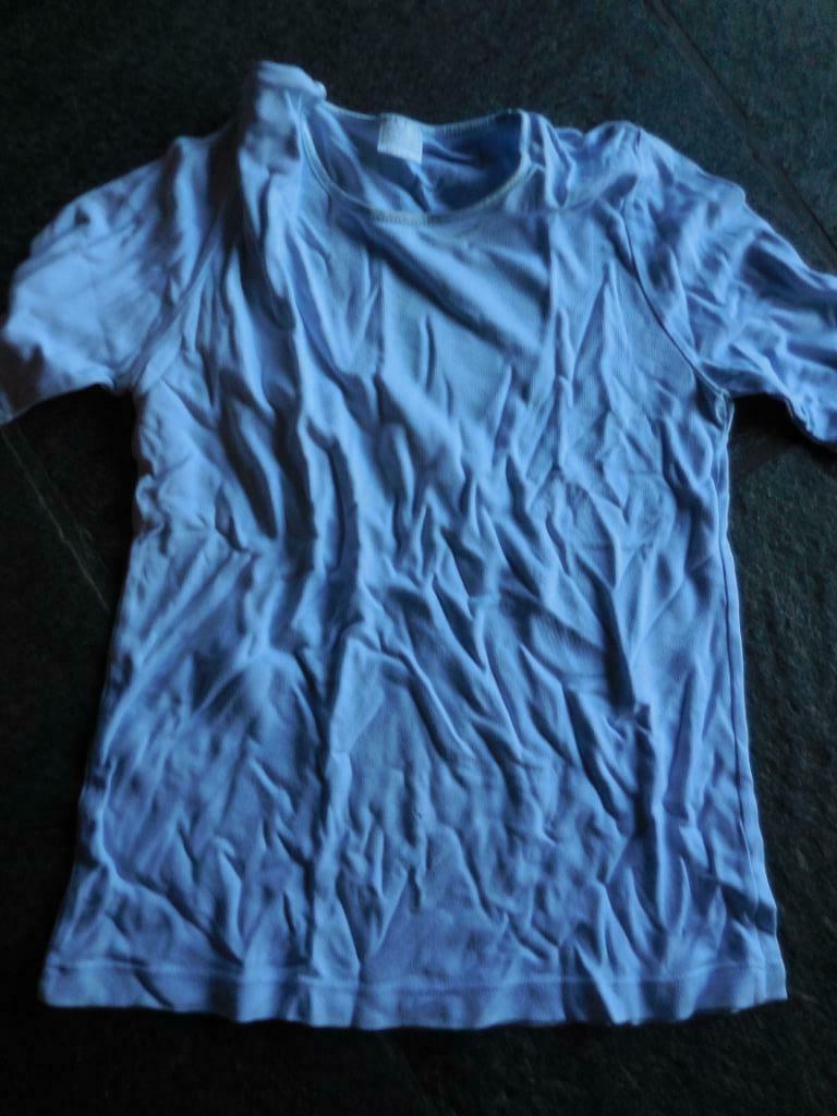 [2151] t-shirt lichtblauw dames S, Ophalen of Verzenden, Gedragen, Maat 36 (S), Blauw