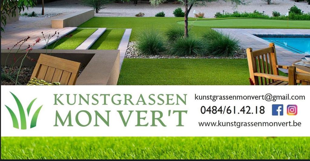 Kwalitatieve kunstgrastypes Izegem., Ophalen of Verzenden, Zo goed als nieuw