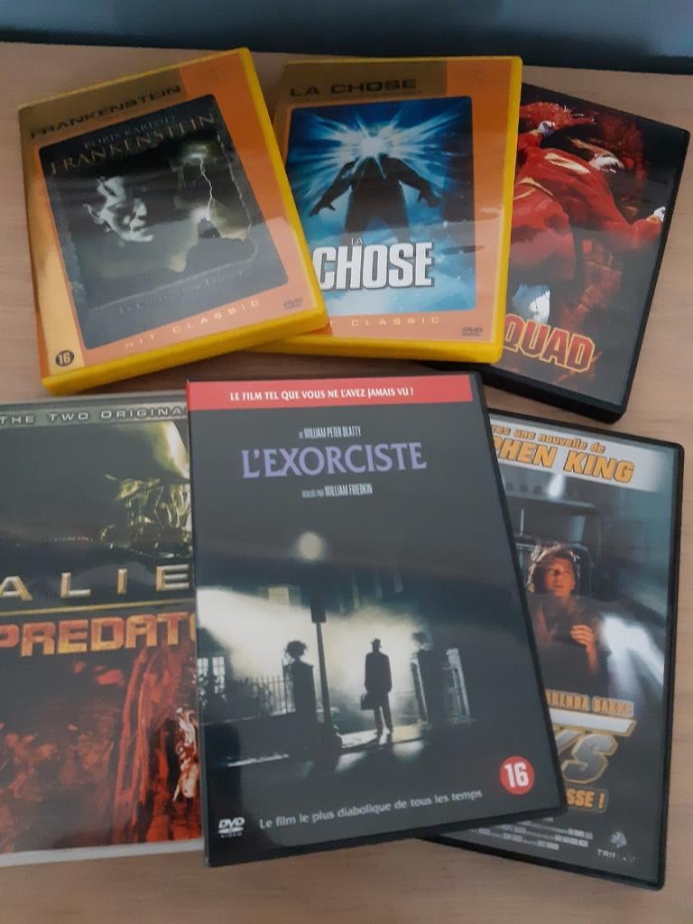 DVD met horrorfilm, Cd's en Dvd's, Dvd's | Horror, Zo goed als nieuw, Ophalen of Verzenden