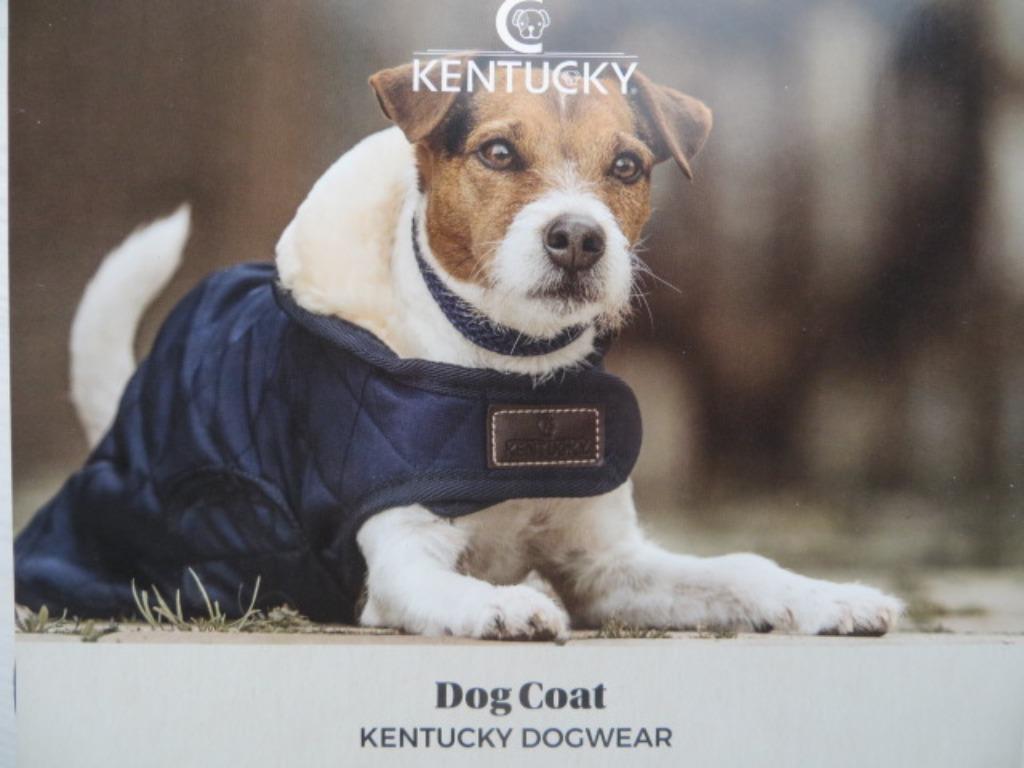 Hondenjasje : Kentucky -- Medium - nieuw - hond - jas, Dieren en Toebehoren, Ophalen of Verzenden, Nieuw, Hondenjas
