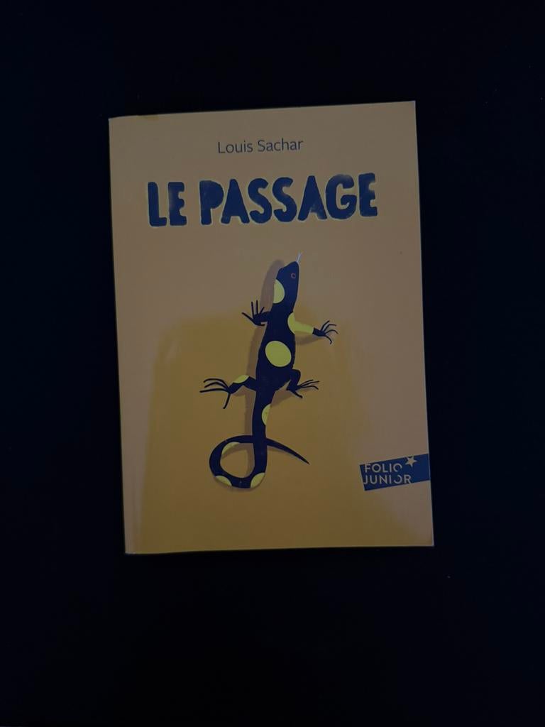 Louis Sachar - Le Passage, Enlèvement ou Envoi