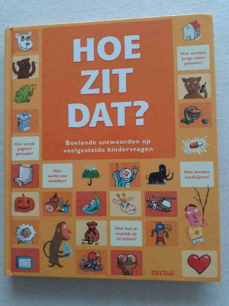 boek 'Hoe zit dat' - Deltas, Ophalen, Zo goed als nieuw, Non-fictie